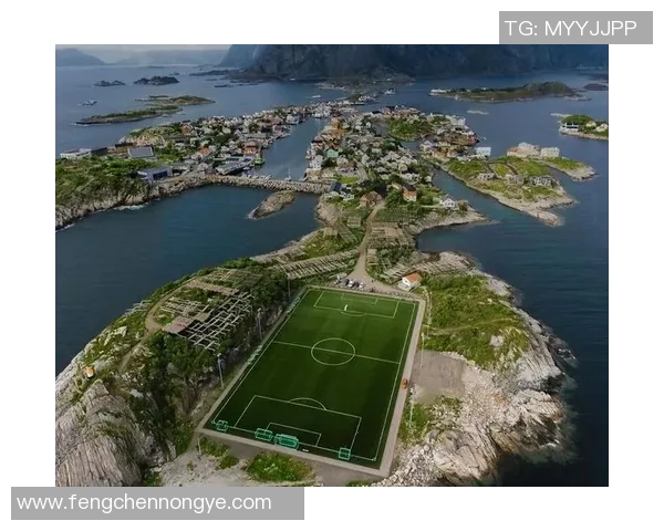 绿茵场上定格传奇瞬间足球巨星经典画面永恒流传